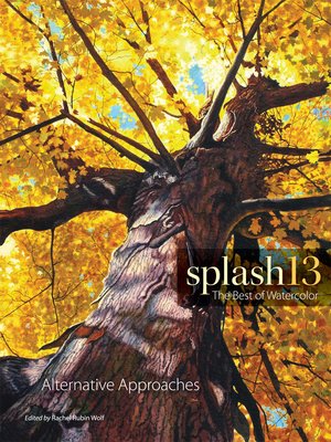 cover image of Splash 13